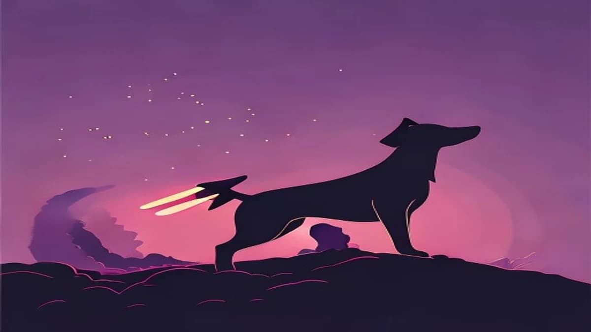 dogwifgun Rallies 400% Within Hours of Solana Launch